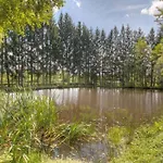 3 Avec Terrasse - Parfait Pour 6 Personnes - Api-1-52-991 Кемпинг *