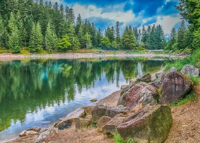 3 Avec Terrasse - Parfait Pour 6 Personnes - Api-1-52-991 Kemp *